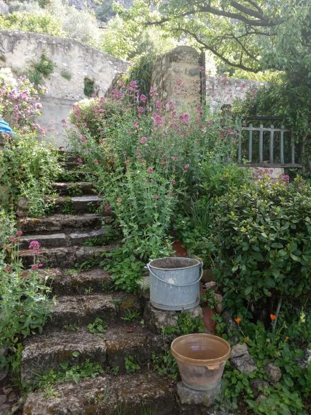 Le Jardin - Le Grand Barry